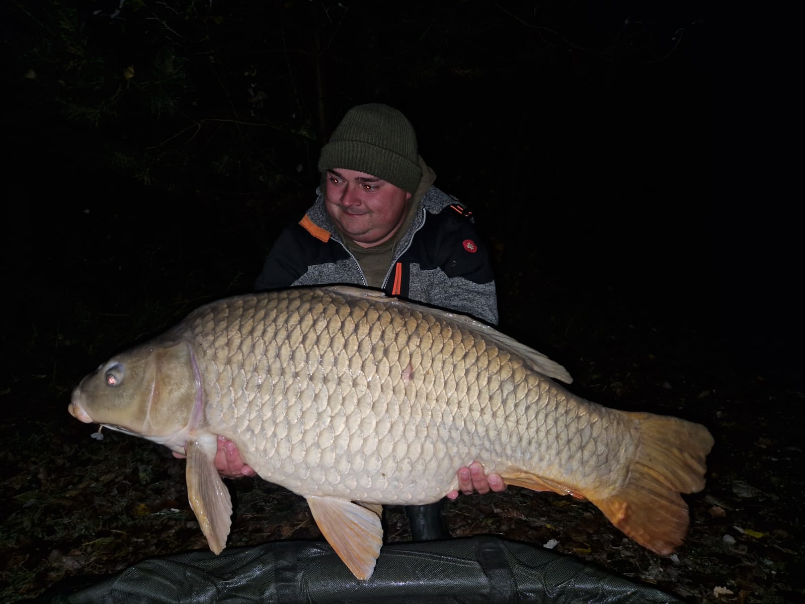 Db2826d5 Fb41 490f A82d D763cb903532