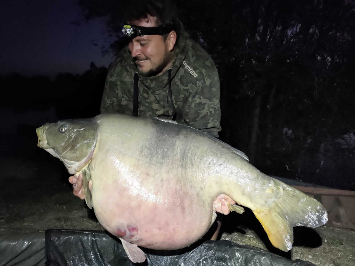 Floran Retzlaff 43 Kilo Front