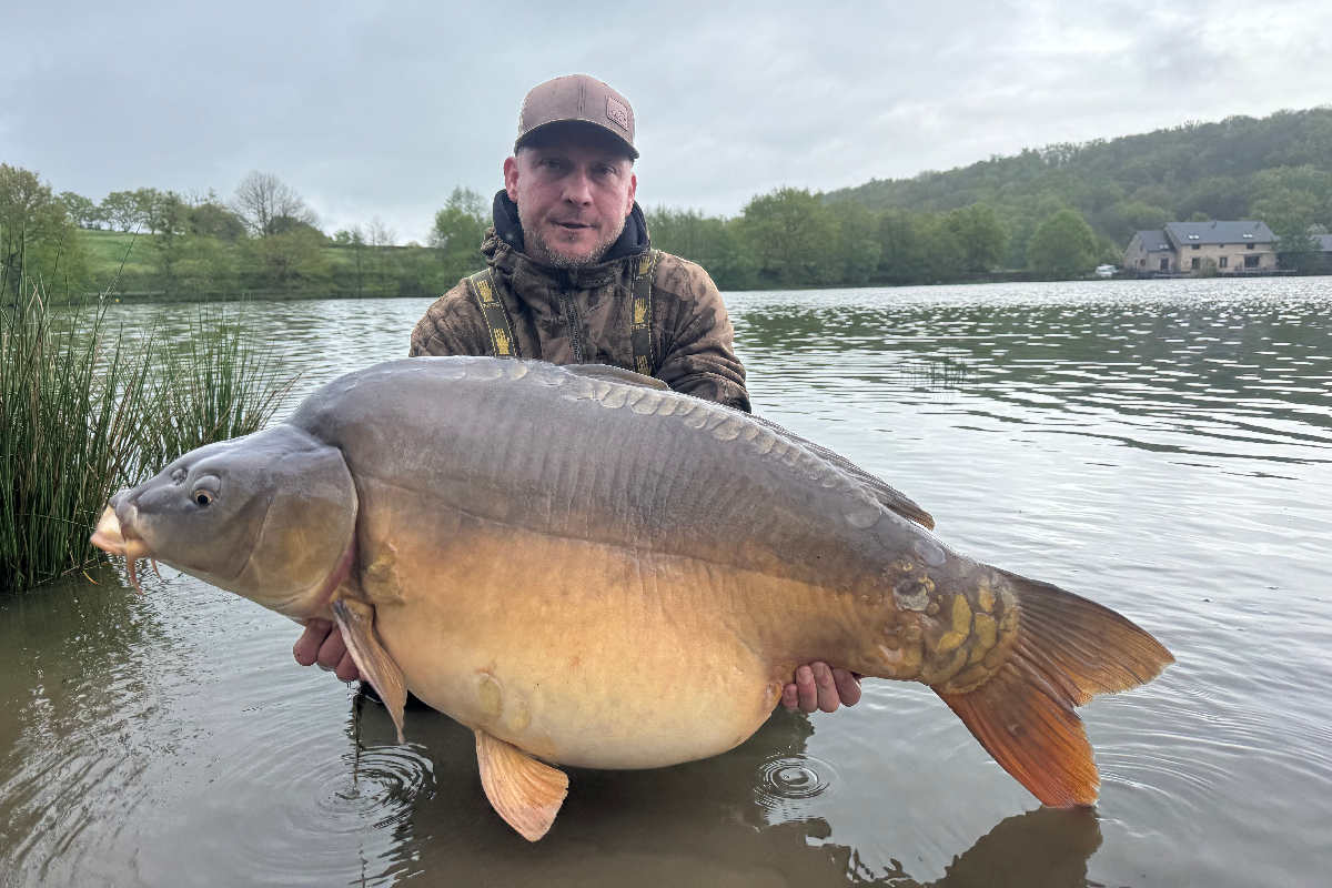 Reinhard 30kg