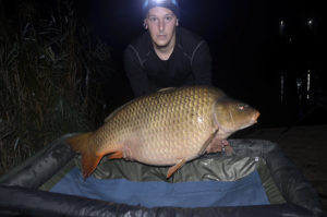 Tom Fuxl fängt einen über 37 Kilos schweren Schuppenkarpfen auf Dickenmittel Boilies in Österreich