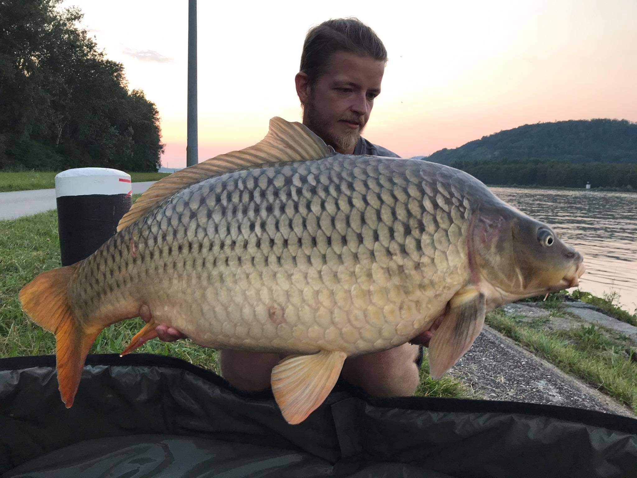 Dominik und Siomin Zellinger sind an der Donau in Österreich mit Naturebaits GLM Boilies erfolgreich