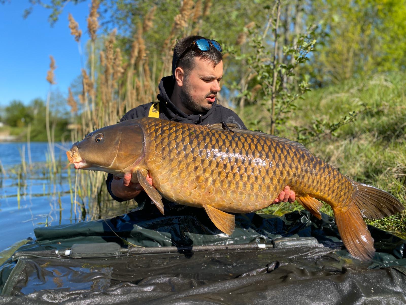 Joel und Jan fangen mit WSC Boilies von Naturebaits richtig tolle Karpfen