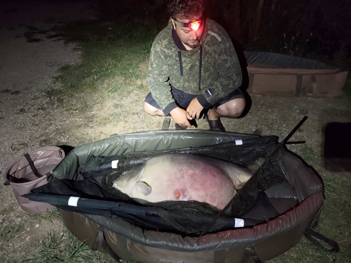 Matte 43 Kg Florian Retzlaff