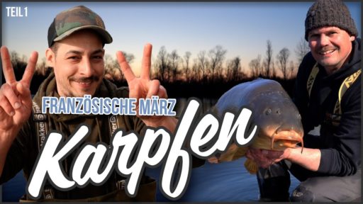 Thumbnail Französische März Karpfen