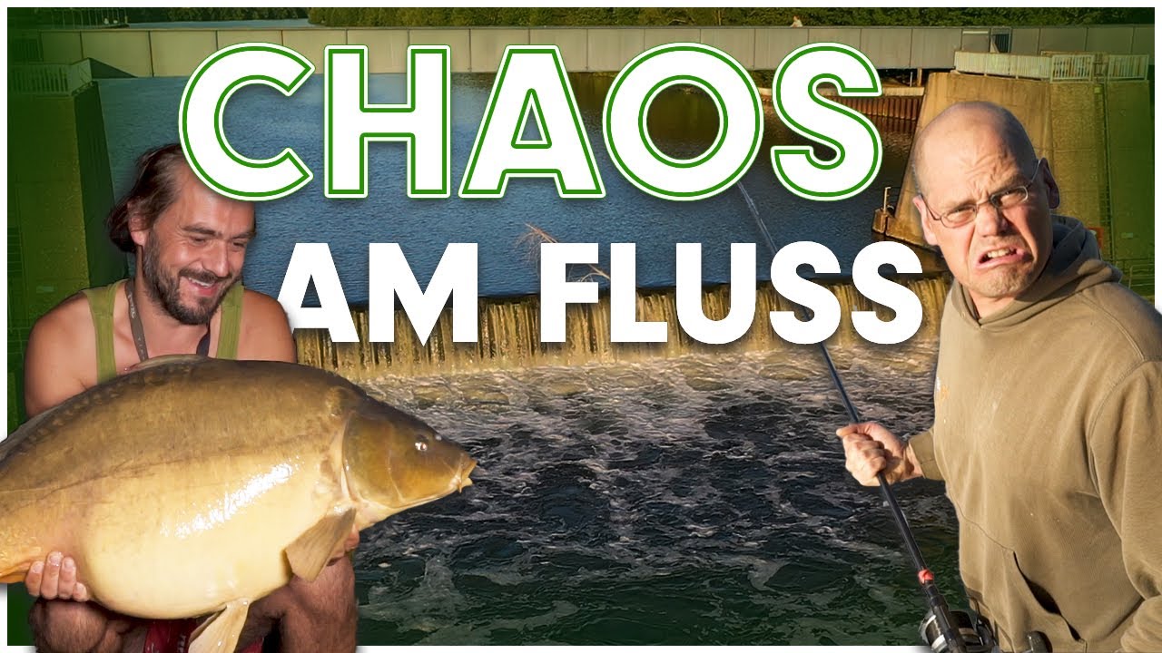 Volker Seuß und Jan Brauns sind zurück am Fluss und fangen einen Karpfen nach dem anderen